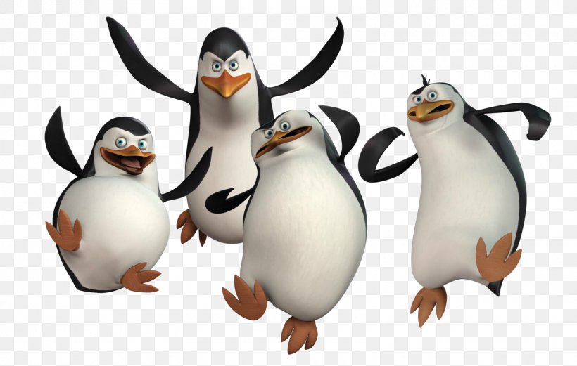 Penguin Madagascar DreamWorks Animation Desktop Wallpaper Film, PNG, 1600x1017px, Penguin, Animation, Beak, Benedict Cumberbatch, Bird Download Free