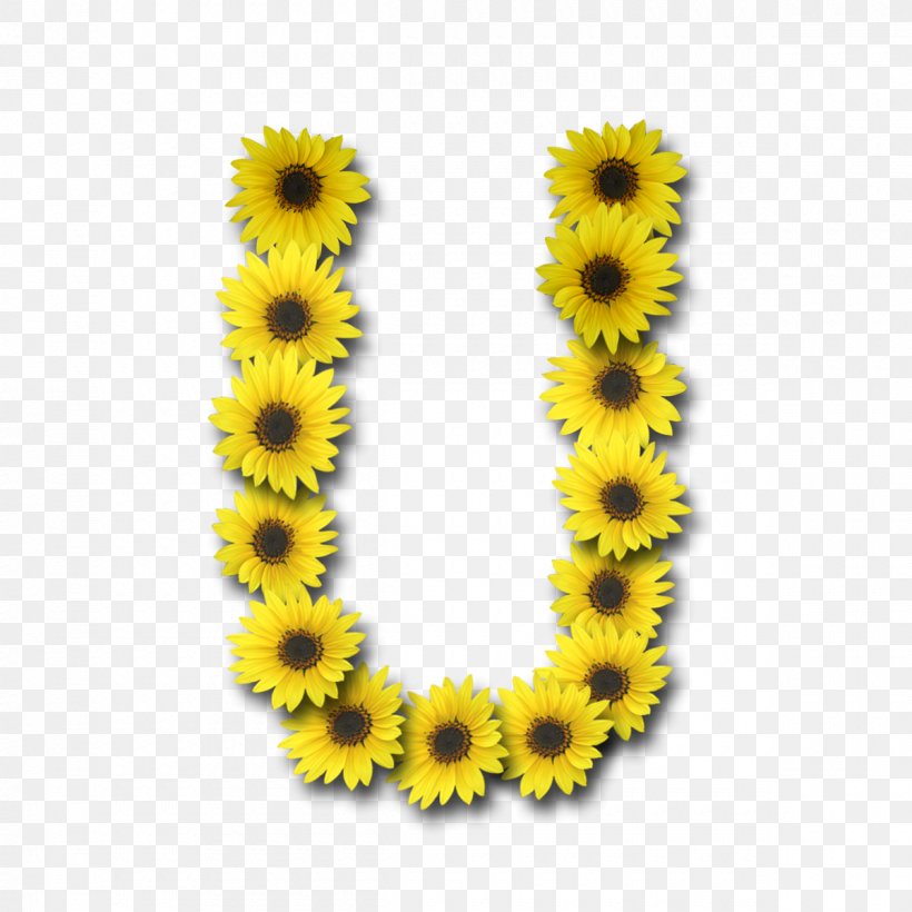Sunflowers Instagram Letter Tagged, PNG, 1200x1200px, Sunflowers, Alphabet, Daisy Family, Flower, Flowering Plant Download Free