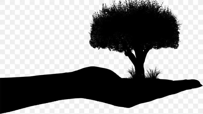 Tree Silhouette, PNG, 1920x1084px, Tree, Blackandwhite, Grass, Landscape, Photography Download Free
