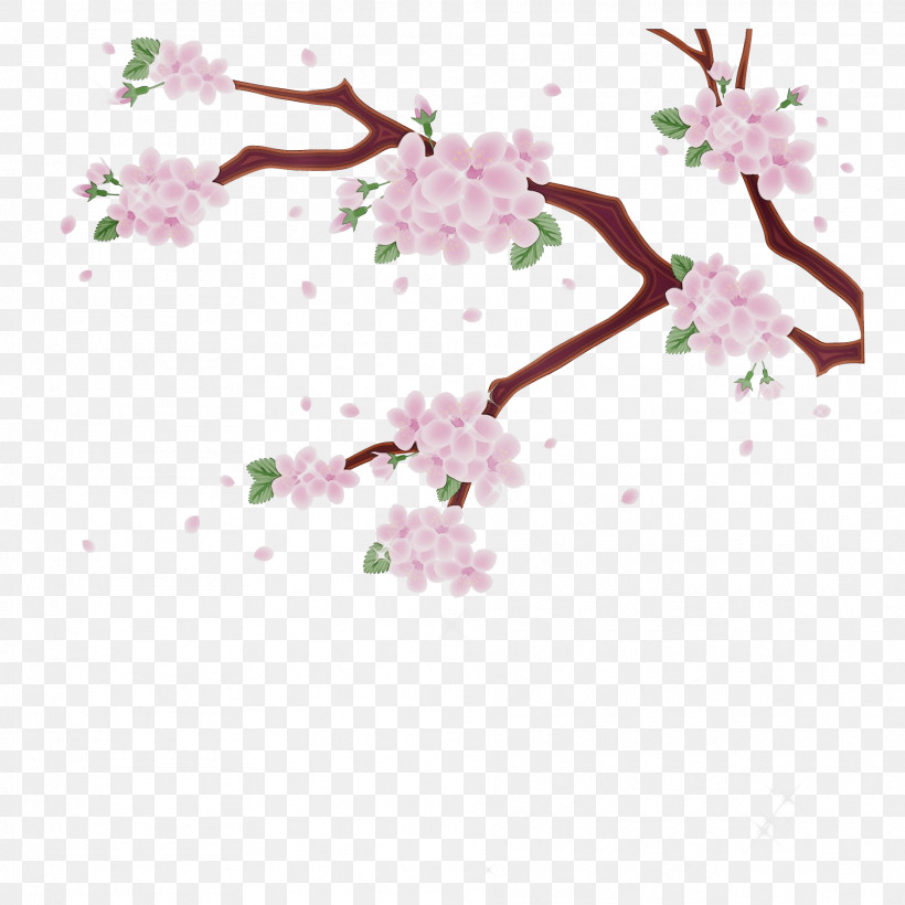 Cherry Blossom, PNG, 1875x1875px, Watercolor, Blossom, Branch, Cherry Blossom, Flower Download Free
