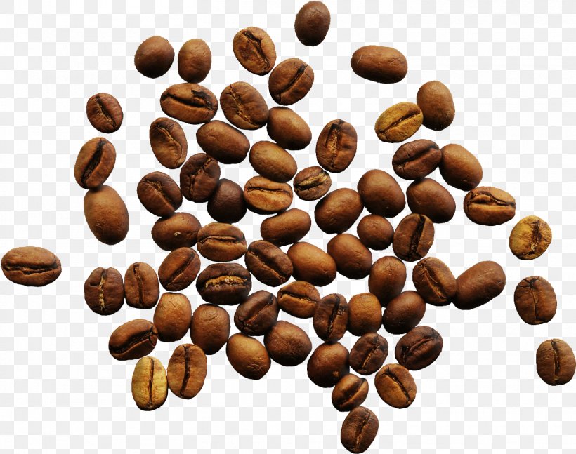 Mountain Cartoon, PNG, 1458x1151px, Coffee, Bean, Cafe, Chocolatecovered Coffee Bean, Cocoa Bean Download Free