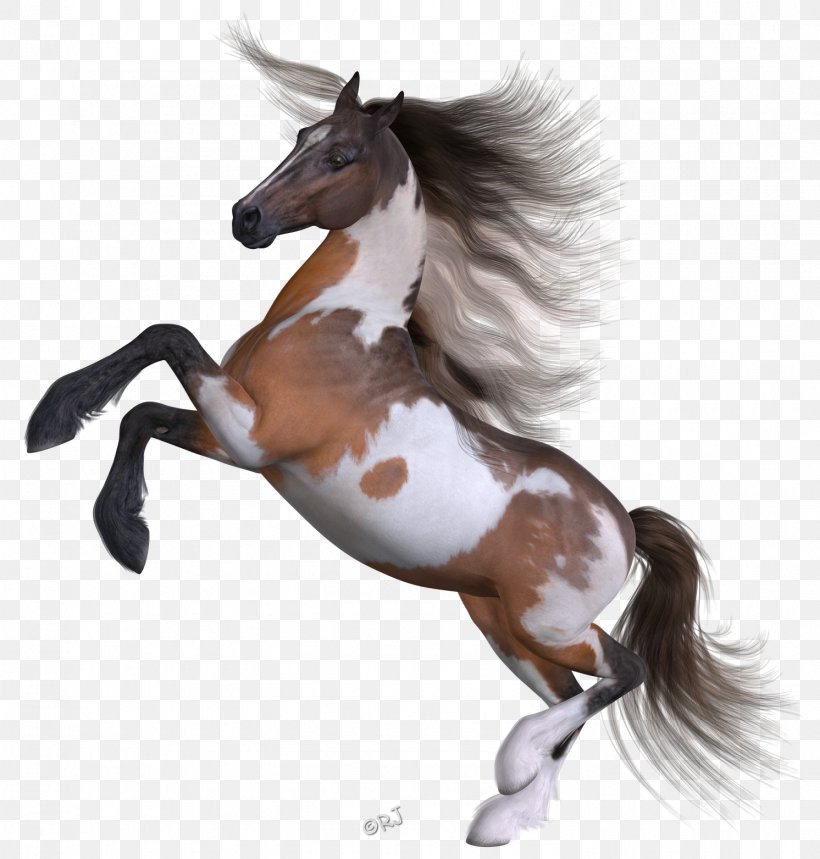 Mustang Pinkie Pie Pony Mane Hanoverian Horse, PNG, 1492x1563px, Mustang, Animal Figure, Applejack, Foal, Halter Download Free