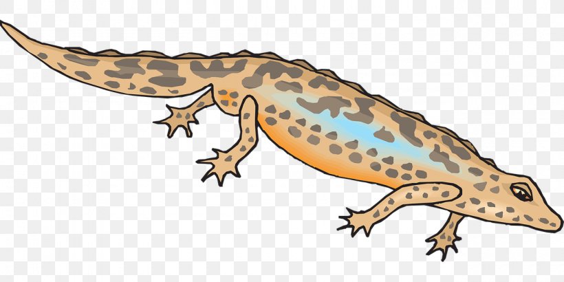 Blue-spotted Salamander Newt Clip Art, PNG, 1280x640px, Salamander, Amphibian, Animal Figure, Axolotl, Bluespotted Salamander Download Free