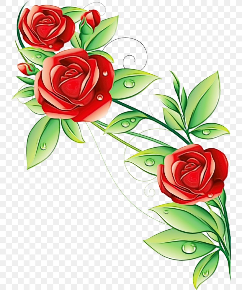 Garden Roses Wallpaper Mural Living Room Flower, PNG, 745x980px, Garden Roses, Botany, Bouquet, Camellia, Cut Flowers Download Free