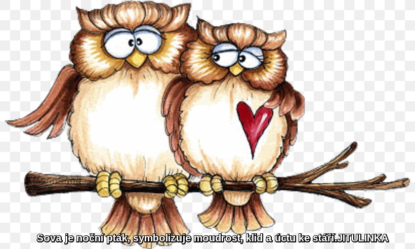 Owl Bird Art Clip Art, PNG, 800x492px, Owl, Art, Beak, Bird, Bird Of Prey Download Free