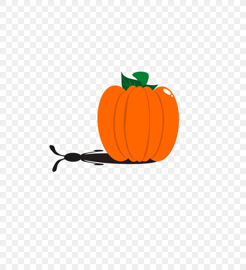 Pumpkin Pie Clip Art, PNG, 637x900px, Pumpkin Pie, Calabaza, Cucurbita, Cucurbita Maxima, Free Content Download Free