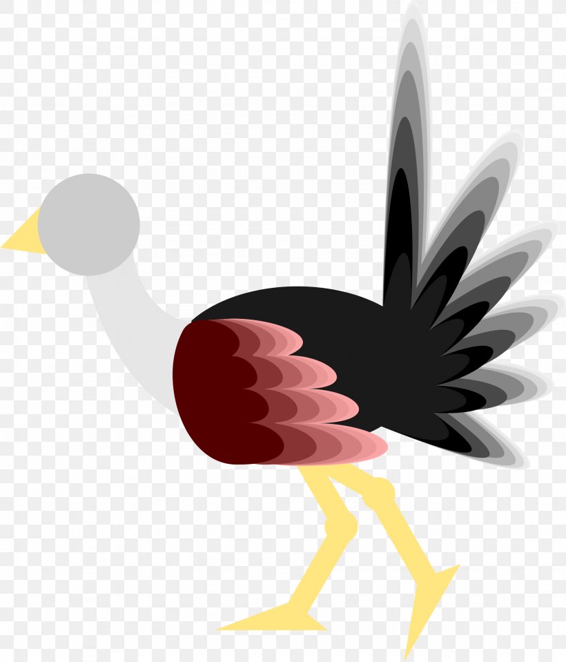 Bird Common Ostrich Windows Metafile Clip Art, PNG, 2051x2400px, Bird, Beak, Byte, Chicken, Common Ostrich Download Free