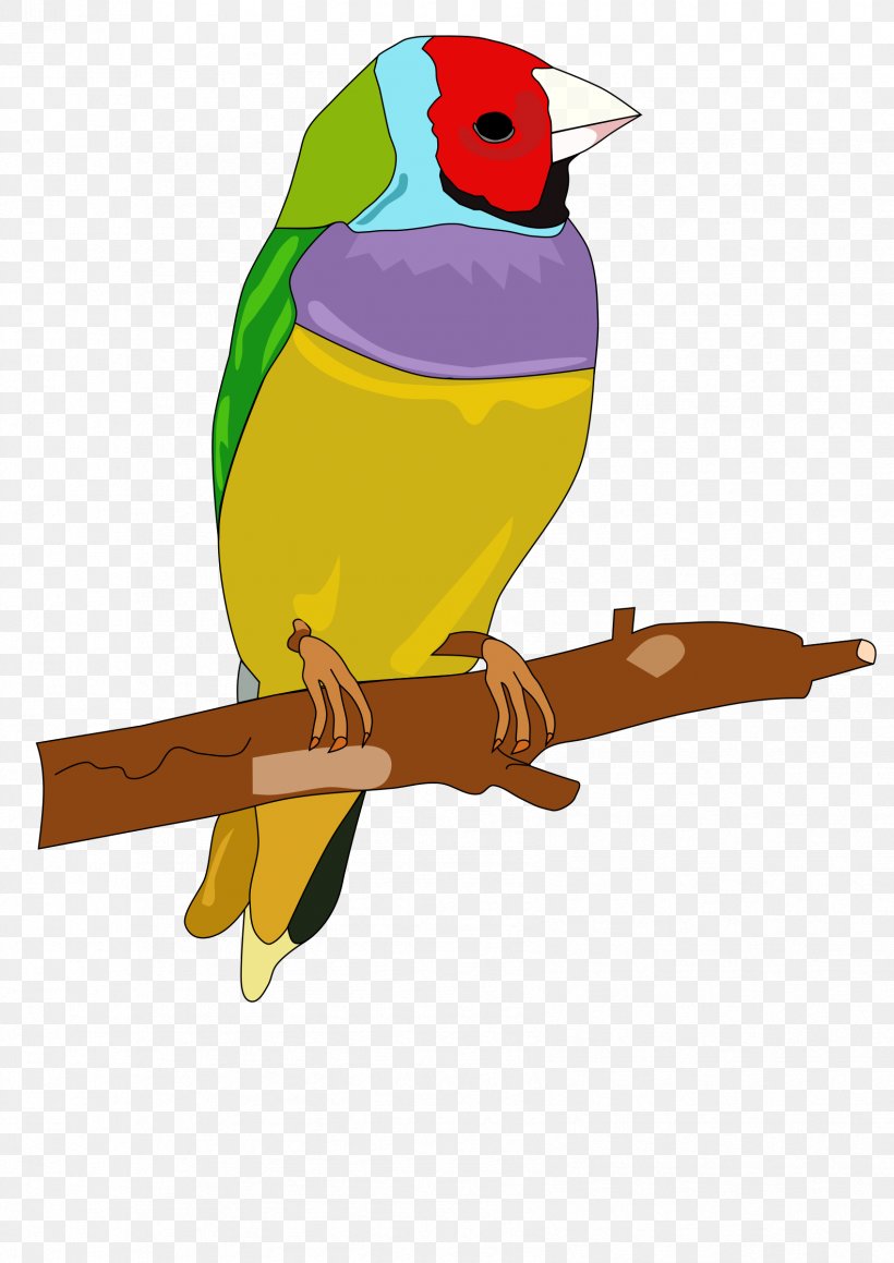 Bird Owl Parrot Clip Art, PNG, 1697x2400px, Bird, Art, Beak, Color, Common Pet Parakeet Download Free