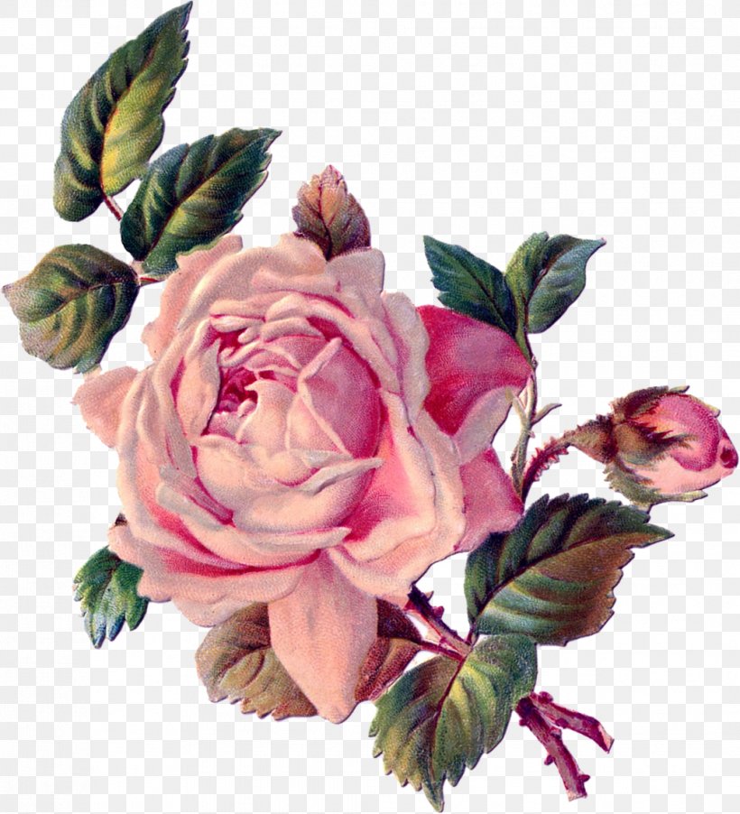 Flower Rose Paper Clip Art, PNG, 1031x1135px, Flower, Cut Flowers, Decoupage, Floral Design, Floristry Download Free