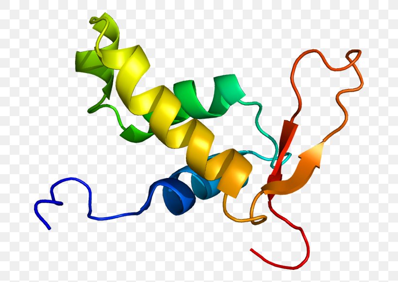 FOXO4 FOX Proteins FOXO6 Fork Head Domain, PNG, 730x583px, Foxo4, Area, Artwork, Dna, Fork Head Domain Download Free
