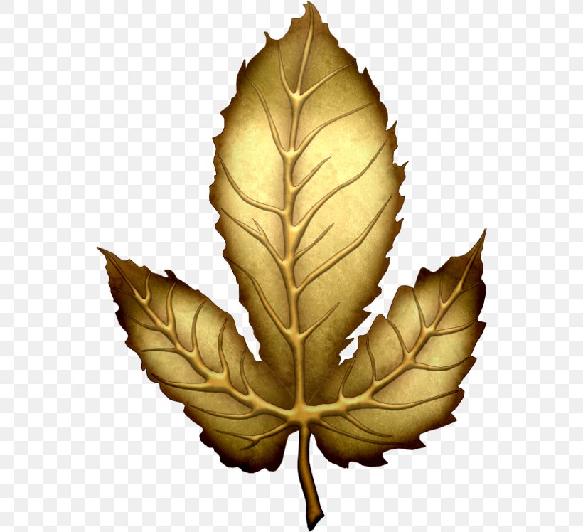 Leaf Gold Clip Art, PNG, 550x748px, Leaf, Gold, Gold Leaf, Green, Plant Download Free