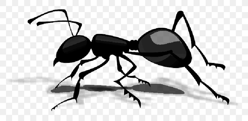 Atom Ant Clip Art Insect, PNG, 800x400px, Ant, Arthropod, Atom Ant, Black Garden Ant, Carpenter Ant Download Free