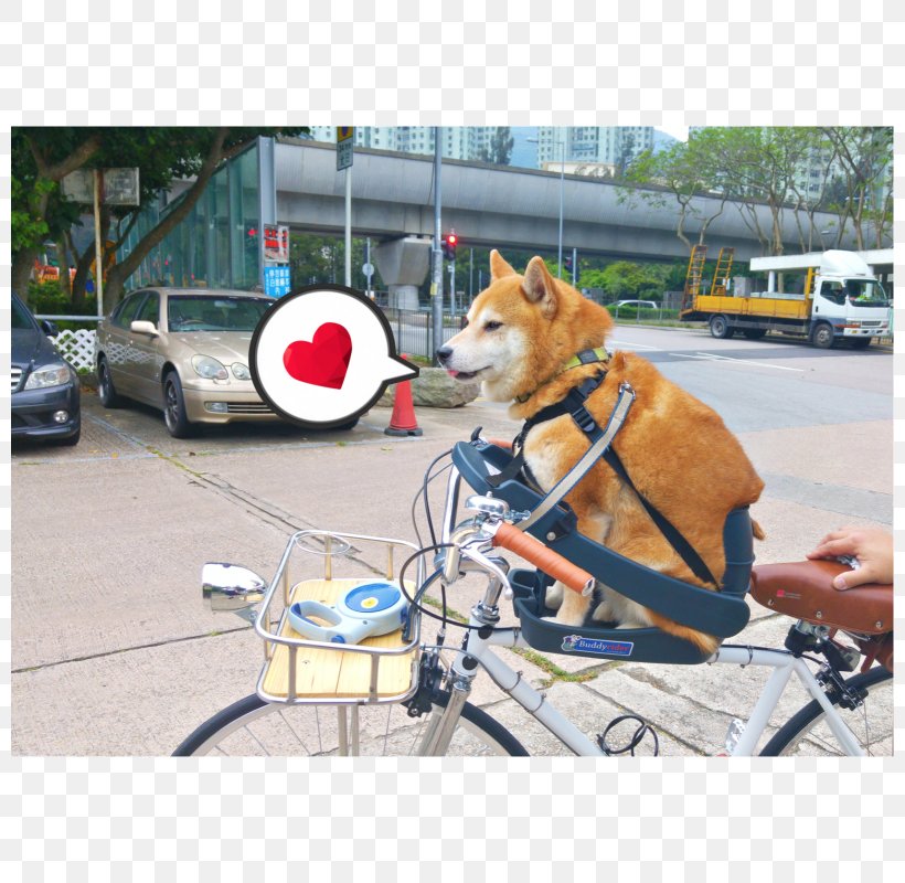 Dog Breed Shiba Inu Bicycle Seat Leash, PNG, 800x800px, Dog Breed, Bicycle, Bicycle Accessory, Bicycle Seat, Breed Download Free