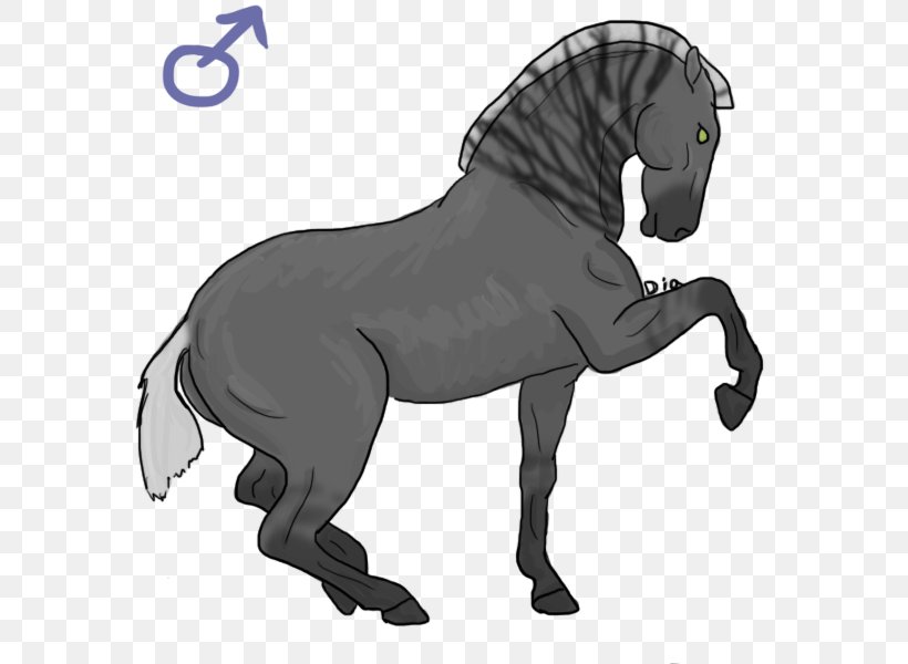 Mule Mustang Stallion Pony Mane, PNG, 600x600px, Mule, Animal Figure, Black And White, Bridle, Carnivoran Download Free