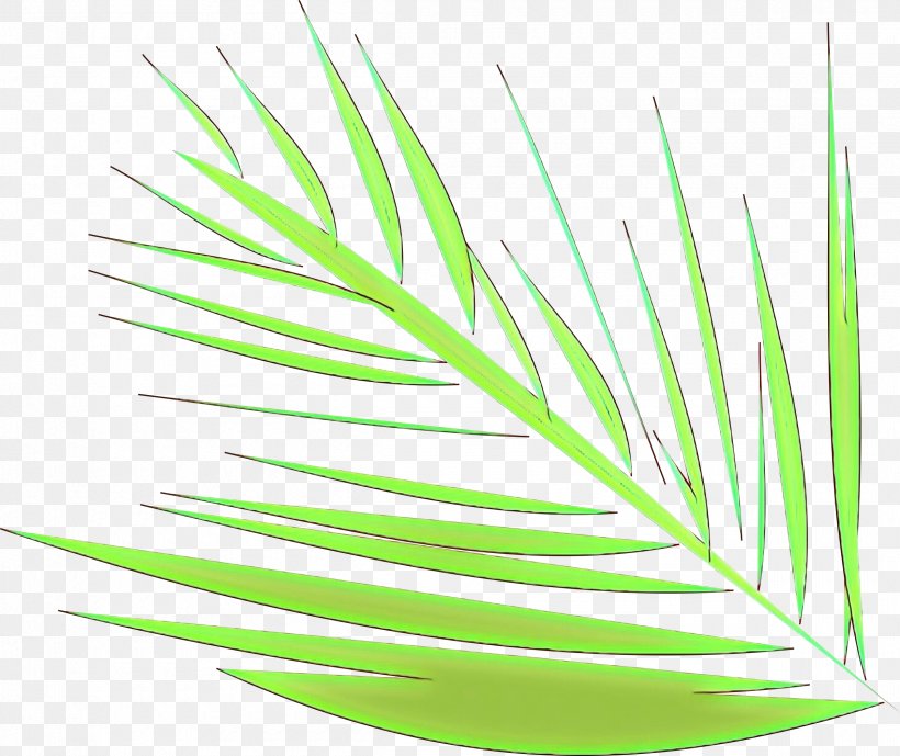 Plant Grass Grass Family Leaf Line, PNG, 2400x2019px, Cartoon, Grass, Grass Family, Leaf, Plant Download Free