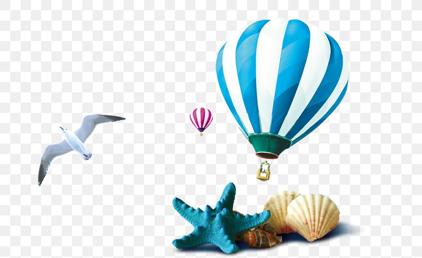 Seashell Download, PNG, 795x503px, Sea, Balloon, Beach, Conch, Hot Air Balloon Download Free