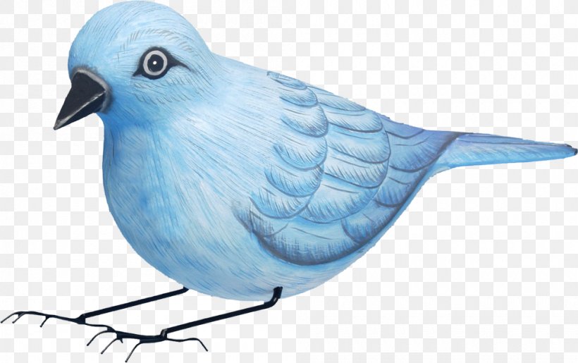 Sparrow Songbird Western Bluebird Nest Box, PNG, 1000x629px, Sparrow, Animal, Beak, Bird, Blue Download Free