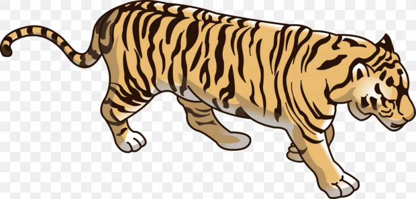 Tiger Lion Dog Wildcat Basabizitza, PNG, 1024x491px, Tiger, Animal, Animal Figure, Animal Sauvage, Animation Download Free