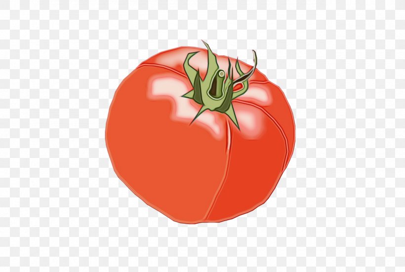 Tomato Cartoon, PNG, 1280x861px, Plum Tomato, Bush Tomato, Cherry Tomatoes, Diet, Diet Food Download Free