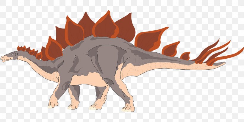 Velociraptor Stegosaurus Tyrannosaurus Triceratops Heterodontosaurus, PNG, 1280x640px, Velociraptor, Animal Figure, Ankylosaurus, Dinosaur, Dragon Download Free