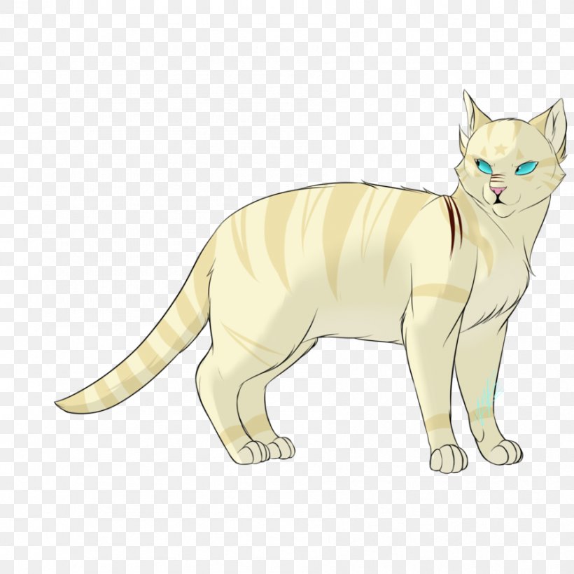 Whiskers Kitten Domestic Short-haired Cat Wildcat, PNG, 894x894px, Whiskers, Animal Figure, Carnivoran, Cartoon, Cat Download Free