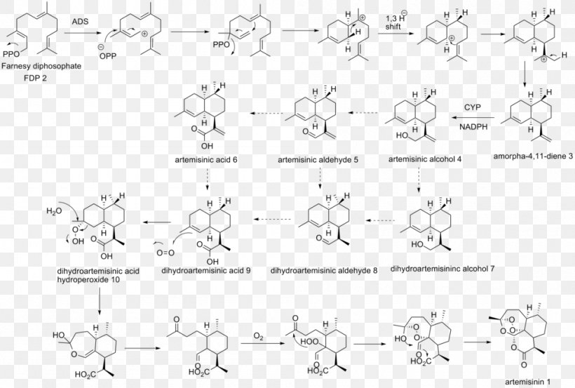 Artemisinin Biosynthesis Sweet Wormwood Chemical Synthesis Sesquiterpene, PNG, 1000x675px, Artemisinin, Antimalarial Medication, Area, Auto Part, Biosynthesis Download Free
