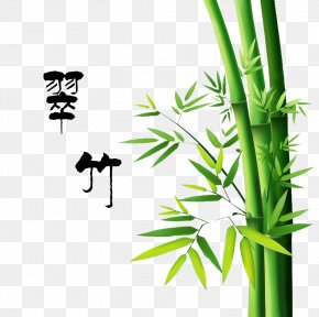 Bamboo - Bamboo Painting Drawing PNG