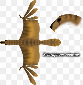 Pterosaur - Carnivores Artist Pterosaurs DeviantArt PNG