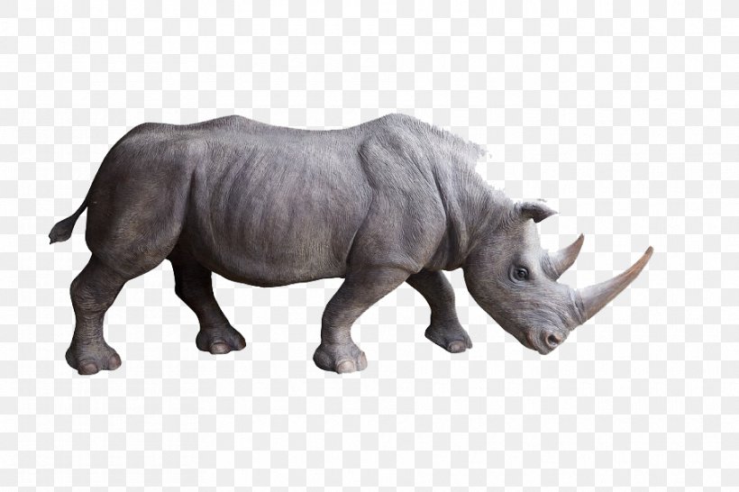 Indian Elephant, PNG, 910x606px, White Rhinoceros, Animal, Animal Figure, Black Rhinoceros, Ceratotherium Download Free