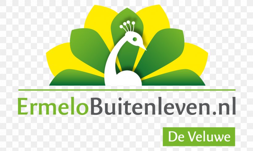 Logo VVV Ermelo Product Font Design, PNG, 1000x600px, Logo, Area, Brand, Brandm Bv, Business Download Free
