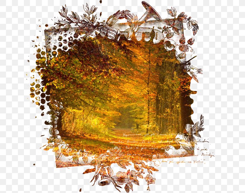 Autumn Digital Image Desktop Wallpaper, PNG, 645x647px, Autumn, Digital Image, Leaf, Nature, Photography Download Free