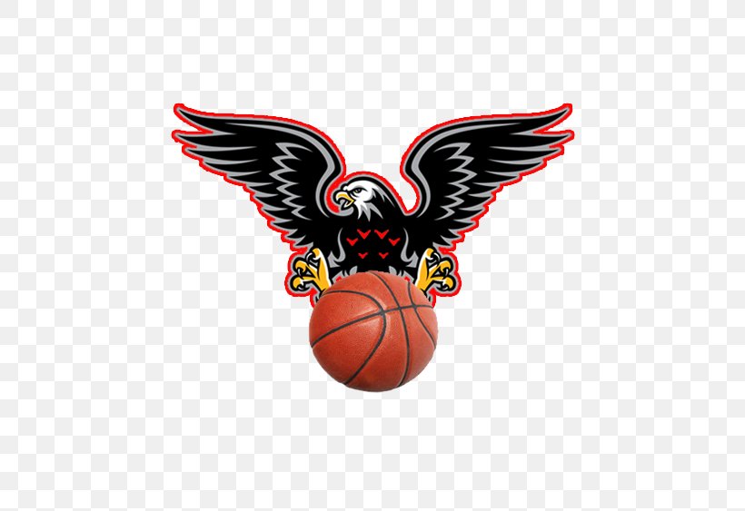 Maryland Eastern Shore Hawks Women's Basketball Atlanta Hawks Football Liga 1, PNG, 563x563px, Atlanta Hawks, Ball, Basketball, Basketball Court, Drawing Download Free