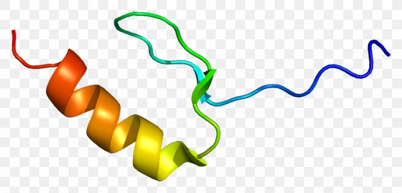 MYST3 Senescence Gene Histone Acetyltransferase, PNG, 874x419px, Senescence, Acetyltransferase, Area, Cellular Senescence, Crebbinding Protein Download Free