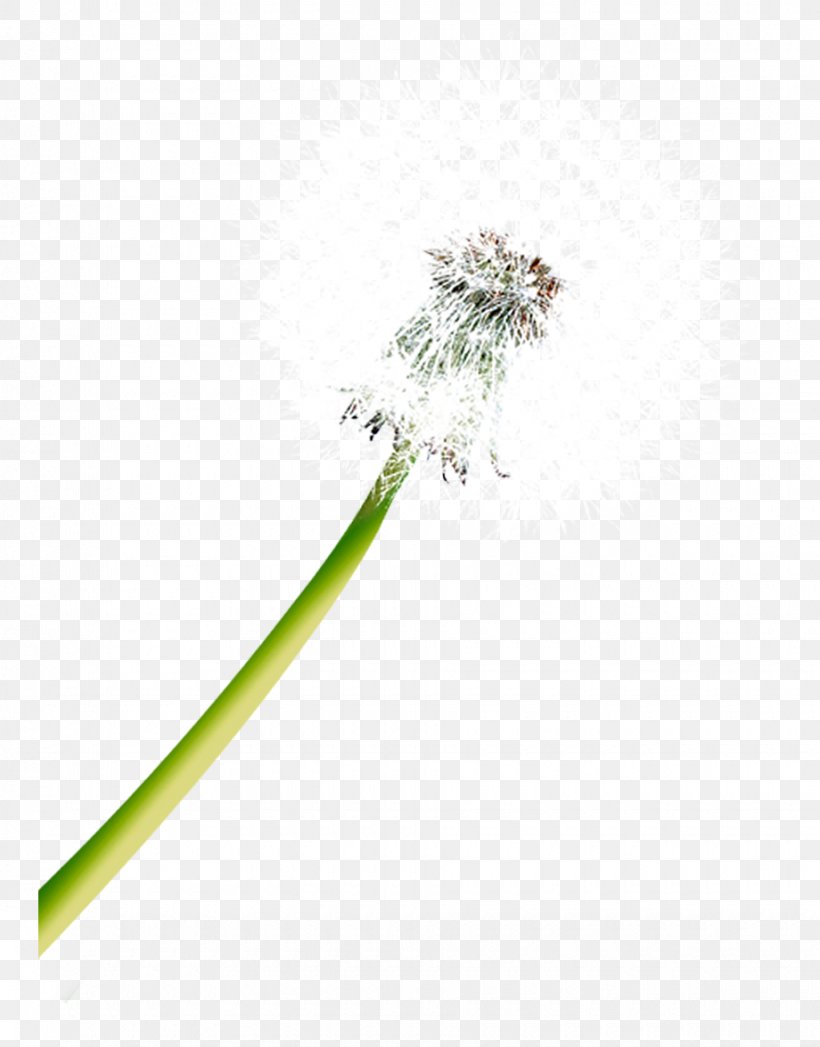 Dandelion Flower Lock Icon, PNG, 920x1175px, Dandelion, Flower, Lock, Quotation, Tree Download Free