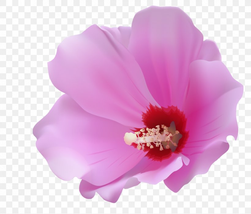 Flower Petal Clip Art, PNG, 967x827px, Flower, Deviantart, Flowering Plant, Herbaceous Plant, Hibiscus Download Free