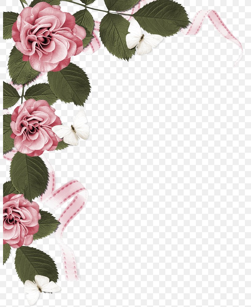 Garden Roses, PNG, 800x1005px, Pink, Flower, Garden Roses, Petal, Plant Download Free