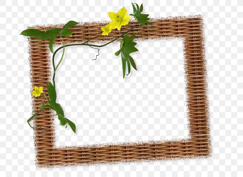 Image Picture Frames Photography Graphics, PNG, 800x600px, 2018, Picture Frames, Art, Google Images, July Download Free