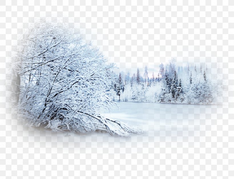 Snow Winter Blizzard Desktop Wallpaper Landscape, PNG, 980x753px, Snow, Blizzard, Blog, Branch, Centerblog Download Free