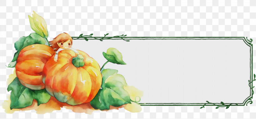 Squash Natural Food Winter Squash Vegetable Gourd, PNG, 3000x1397px, Thanksgiving Banner, Fruit, Gourd, Local Food, Natural Food Download Free
