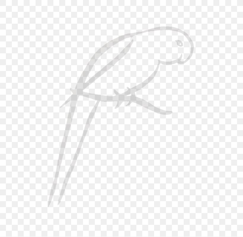 Feather Drawing White, PNG, 608x801px, Feather, Beak, Bird, Black And White, Branch Download Free