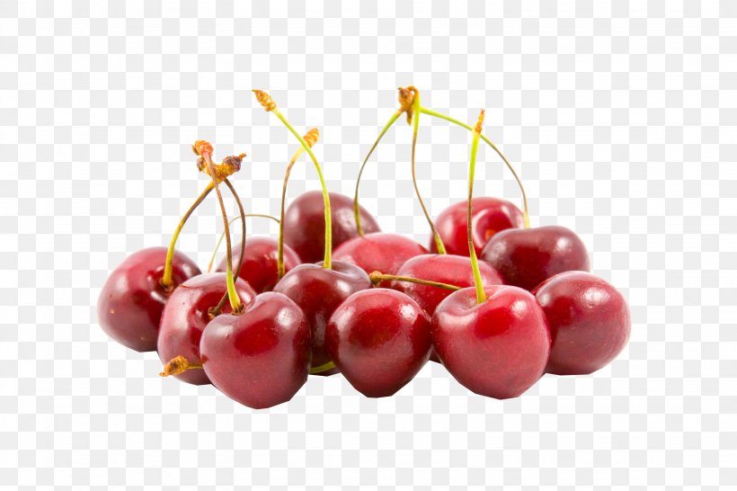 Sour Cherry Fruit Berry Sweet Cherry, PNG, 3072x2048px, Cherry, Berry, Cranberry, Dwarfing, Food Download Free