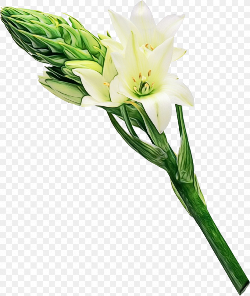 Artificial Flower, PNG, 1014x1200px, Watercolor, Artificial Flower, Cut Flowers, Flower, Freesia Download Free