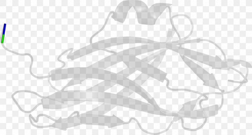 Drawing White Line Art Clip Art, PNG, 933x500px, Drawing, Artwork, Black And White, Branch, Hand Download Free