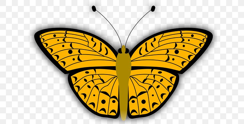 Monarch Butterfly Drawing, PNG, 640x416px, Butterfly, Brushfooted Butterflies, Brushfooted Butterfly, Cartoon, Drawing Download Free