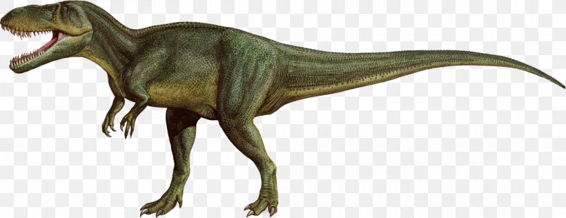 Torvosaurus Allosaurus Pentaceratops Dinosaur Late Jurassic, PNG, 1200x463px, Torvosaurus, Allosaurus, Animal Figure, Carnivore, Ceratosaurus Download Free