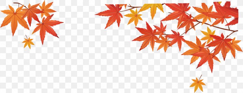 Autumn Maple Leaf Google Images, PNG, 1161x446px, Autumn, Autumn Leaf Color, Branch, Cartoon, Flowering Plant Download Free
