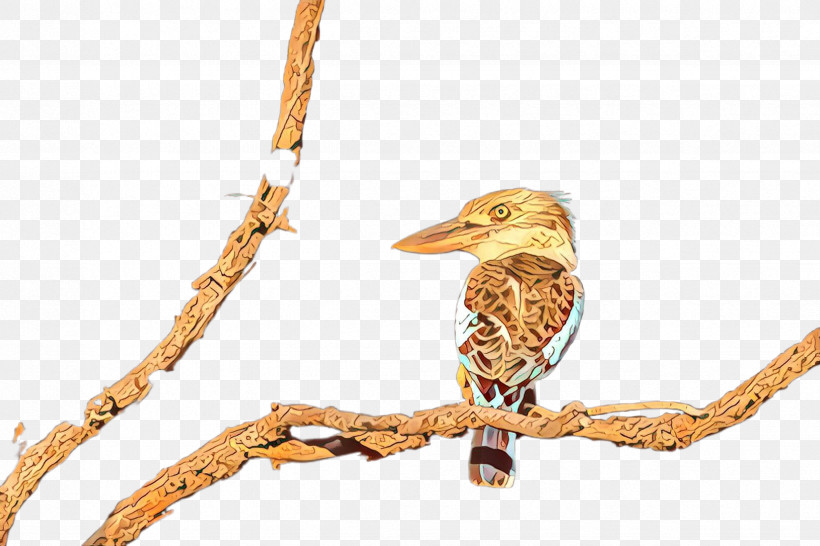 Bird Beak Branch Twig Wildlife, PNG, 2448x1632px, Bird, Beak, Branch, Twig, Wildlife Download Free