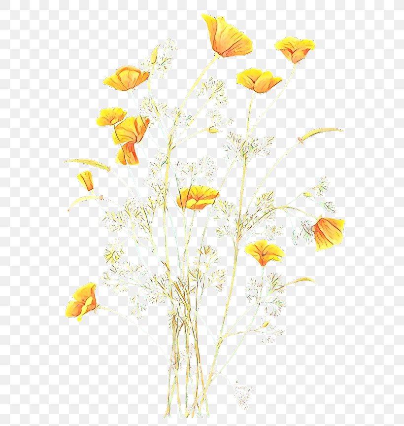 Flowers Background, PNG, 624x864px, Floral Design, Camomile, Chamomile, Cut Flowers, Flower Download Free