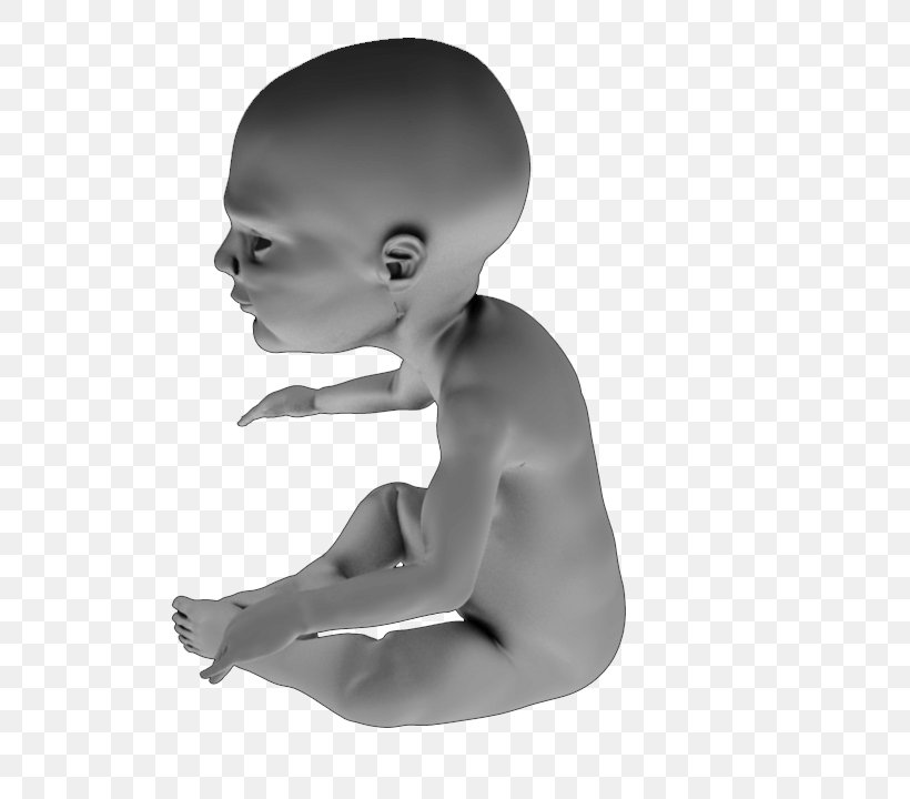 Infant 3D Printing 3D Computer Graphics CGTrader STL, PNG, 720x720px, 3d Computer Graphics, 3d Modeling, 3d Printing, Infant, Animated Film Download Free