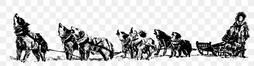 Siberian Husky Dog Sled Sled Dog Racing, PNG, 1000x263px, Siberian Husky, Artwork, Black And White, Dog, Dog Harness Download Free